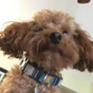 Meet your Posher, Julia